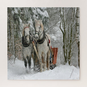 Winters sleerit legpuzzel
