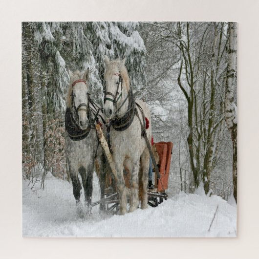 Winters sleerit legpuzzel (Verticaal)