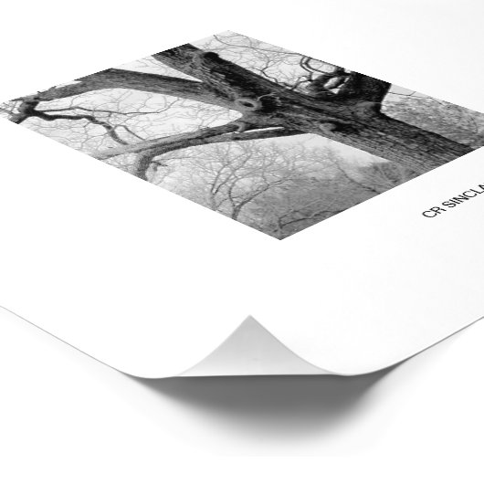 WINTER'S UNDRESSING DOOR CR SINCLAIR FOTO AFDRUK (Hoek)