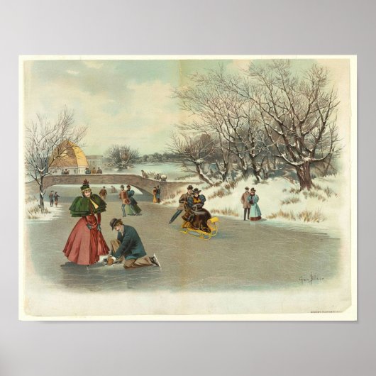Winter's vreugde in Central Park Poster (Voorkant)