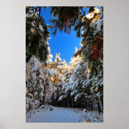 Winters wonderland poster