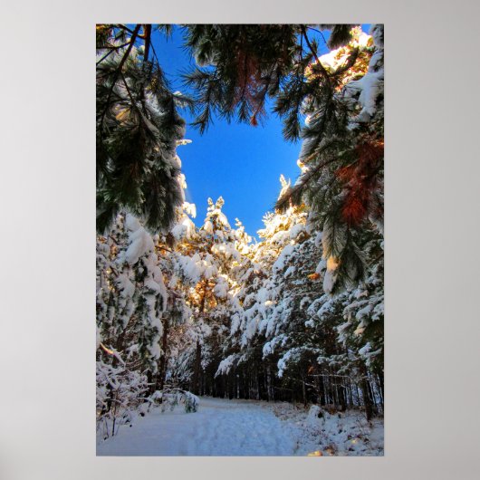 Winters wonderland poster (Voorkant)