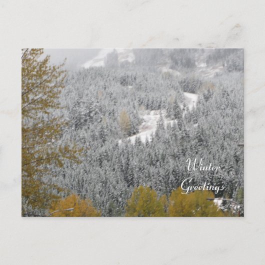 Winterscène bij Whistler, B.C. Briefkaart (Voorkant)