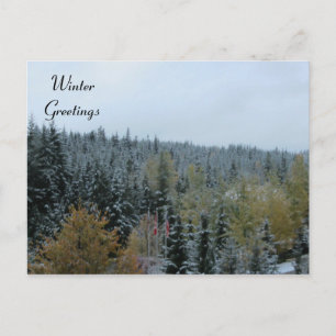 Winterscène bij Whistler, B.C. Briefkaart