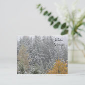 Winterscène bij Whistler, B.C. Briefkaart (Staand voorkant)
