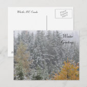 Winterscène bij Whistler, B.C. Briefkaart (Voorkant / Achterkant)