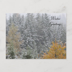 Winterscène bij Whistler, B.C. Briefkaart