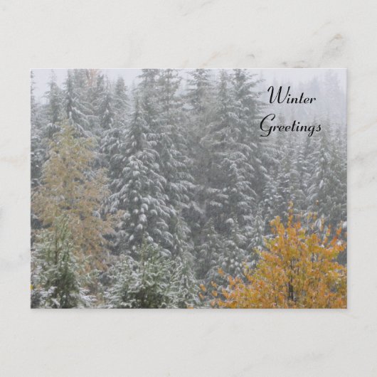 Winterscène bij Whistler, B.C. Briefkaart (Voorkant)