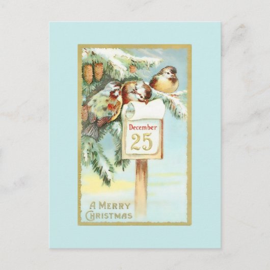  winterscène van vogels in bomen briefkaart (Voorkant)