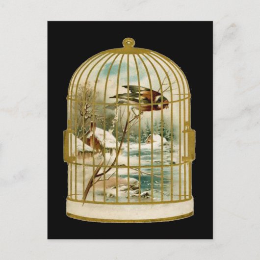 Winterscène Vogelkooi Briefkaart (Voorkant)