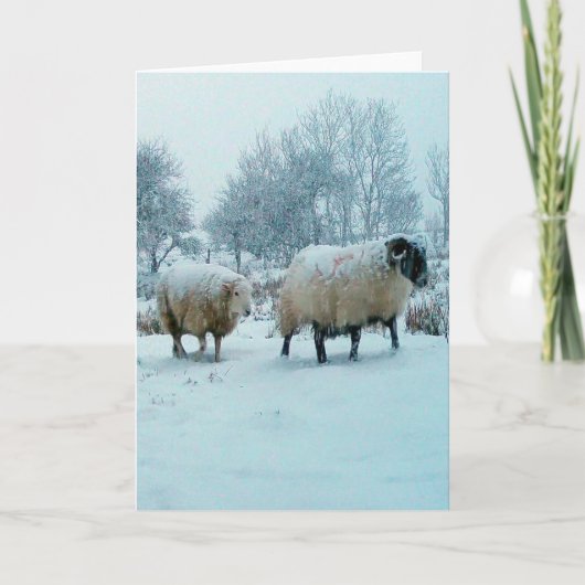 Winterschaap in sneeuwsfeer Aanpasbaar Kaart (Voorkant)