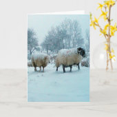 Winterschaap in sneeuwsfeer Aanpasbaar Kaart (Gele Bloem)