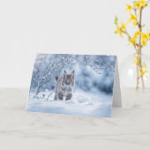 Winterse Dageraad met Bobcat en Sneeuw Kaart (Gele Bloem)