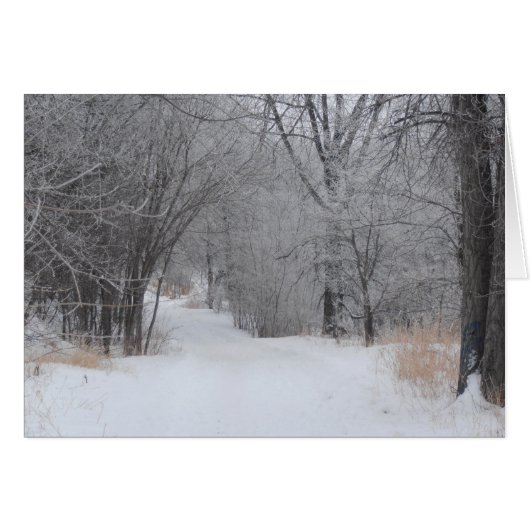 Winterse eenzaamheid (Voorkant Horizontaal)