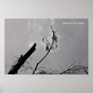 Winterse natuur poster