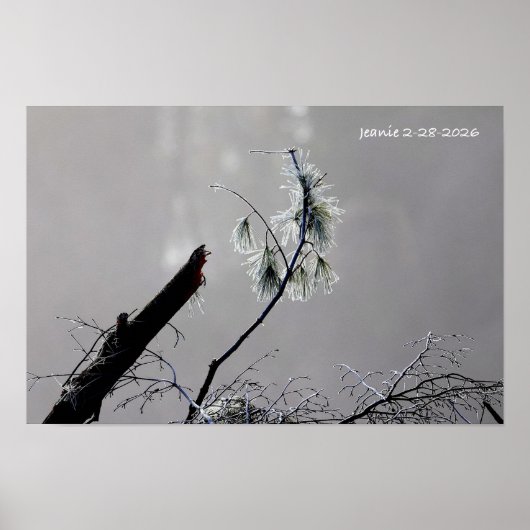 Winterse natuur poster (Voorkant)