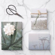 Winterse natuur, set van 3 verschillende kunstfoto