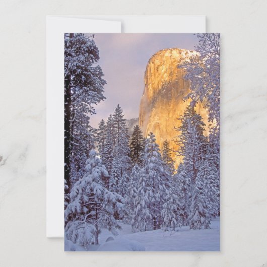 Winterse zonlicht op El Capitan in Yosemite (Voorkant)