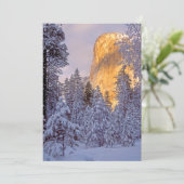 Winterse zonlicht op El Capitan in Yosemite (Staand voorkant)