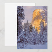 Winterse zonlicht op El Capitan in Yosemite (Voorkant / Achterkant)