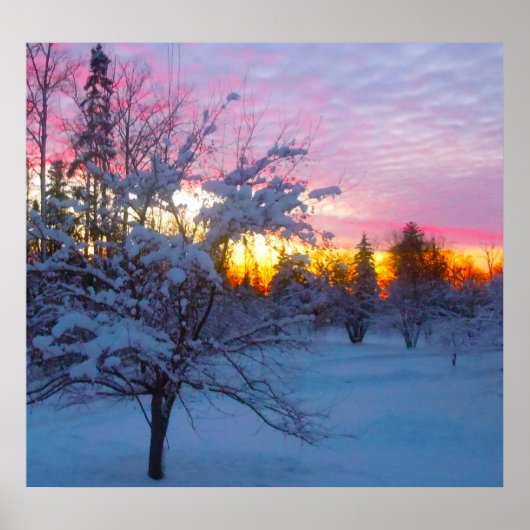 Winterse Zonsondergang Poster (Voorkant)