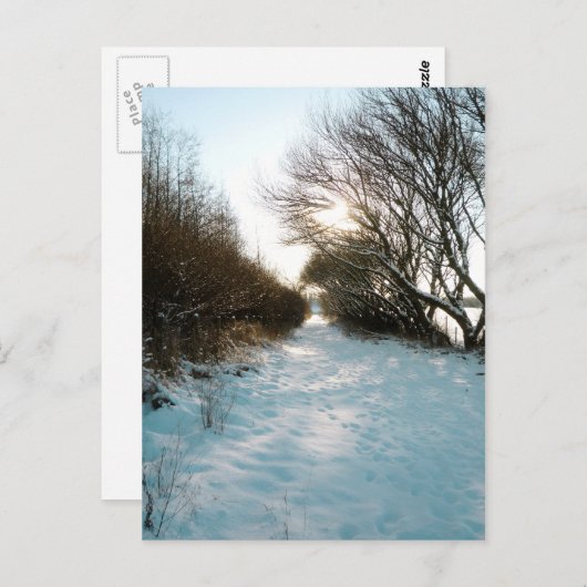 Wintersneeuw bedekt met het Engelse landelijke pad Briefkaart (Voorkant / Achterkant)