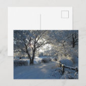 Wintersneeuw Briefkaart (Voorkant / Achterkant)