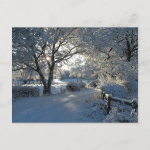 Wintersneeuw Briefkaart