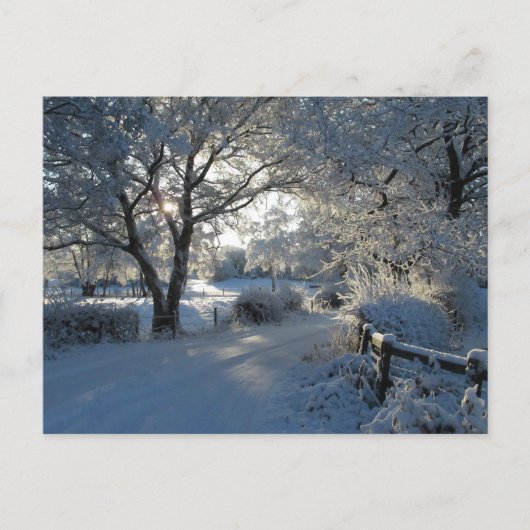 Wintersneeuw Briefkaart (Voorkant)