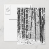 Wintersneeuw Briefkaart (Voorkant / Achterkant)