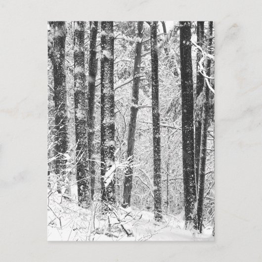 Wintersneeuw Briefkaart (Voorkant)