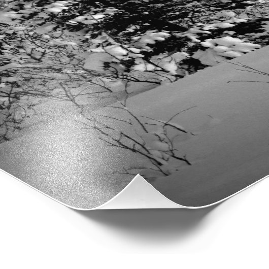 Wintersneeuw Foto Afdruk (Hoek)