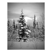 Wintersneeuw Foto Afdruk (Voorkant)