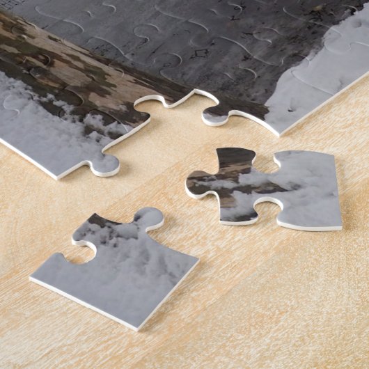 Wintersneeuw in Central Park New York City NYC Legpuzzel (Zijkant)