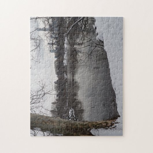 Wintersneeuw in Central Park New York City NYC Legpuzzel (Verticaal)
