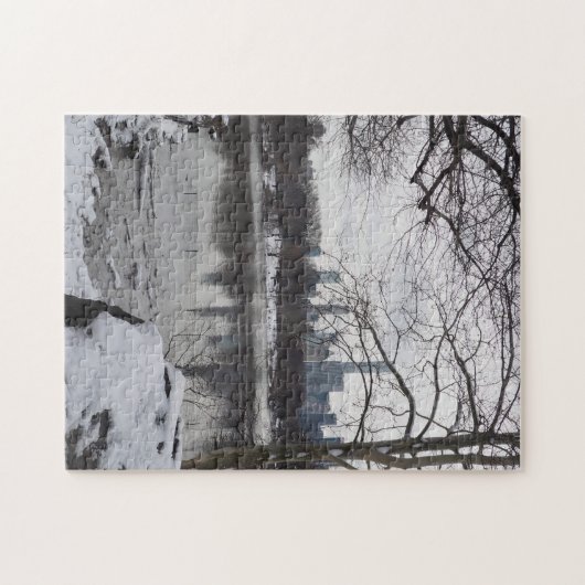 Wintersneeuw in Central Park New York City NYC Legpuzzel (Horizontaal)
