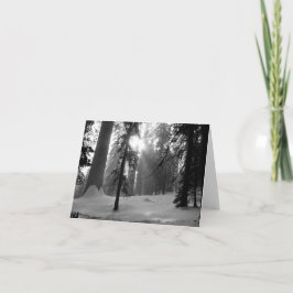 Wintersneeuw in het Nationaal Park Kings Canyon Notitiekaartje