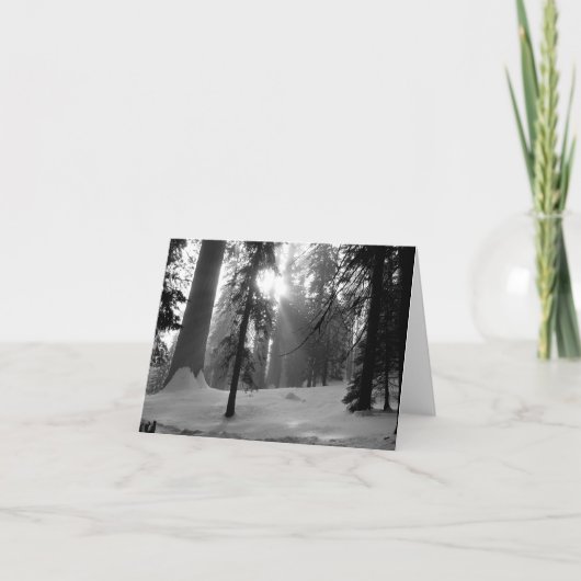 Wintersneeuw in het Nationaal Park Kings Canyon Notitiekaartje (Voorkant)