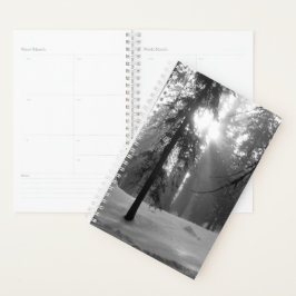 Wintersneeuw in het Nationaal Park Kings Canyon Planner