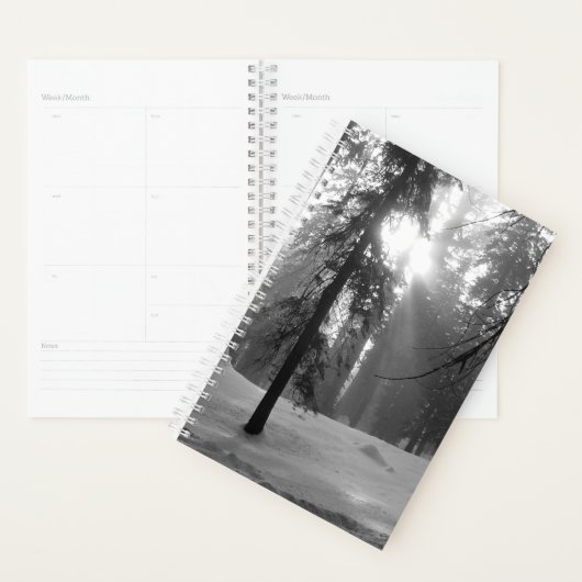 Wintersneeuw in het Nationaal Park Kings Canyon Planner (Display)