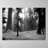 Wintersneeuw in het Nationaal Park Kings Canyon Poster (Voorkant)