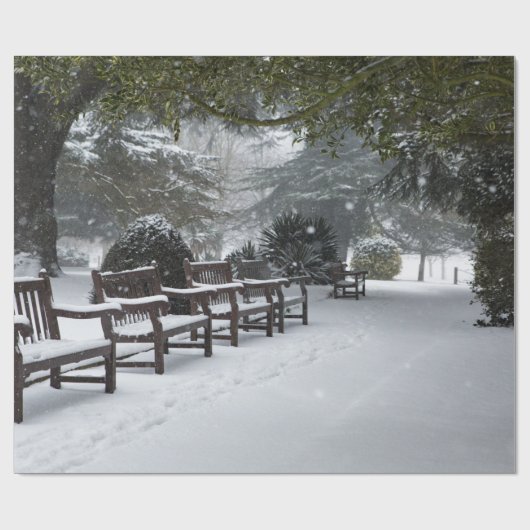 Wintersneeuw in het park cadeaupapier (Vlak)