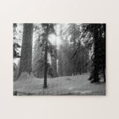 Wintersneeuw in Kings Canyon National Park Legpuzzel (Horizontaal)