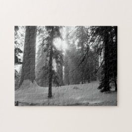 Wintersneeuw in Kings Canyon National Park Legpuzzel