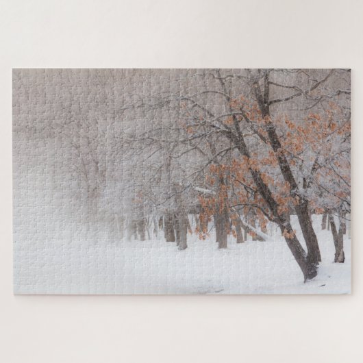 Wintersneeuw | Lake Kussharo Legpuzzel (Horizontaal)