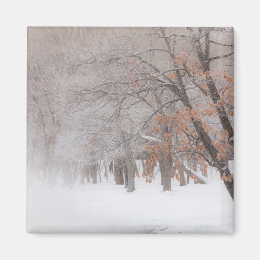Wintersneeuw | Lake Kussharo Magneet (Voorkant)
