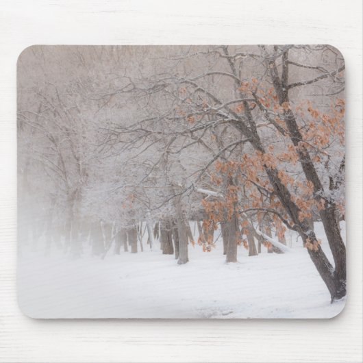 Wintersneeuw | Lake Kussharo Muismat (Voorkant)