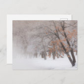 Wintersneeuw | Meer van Kussharo Briefkaart (Voorkant / Achterkant)