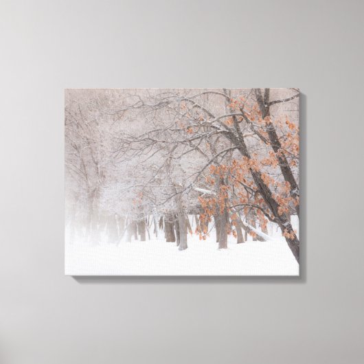 Wintersneeuw | Meer van Kussharo Canvas Afdruk (Voorkant)