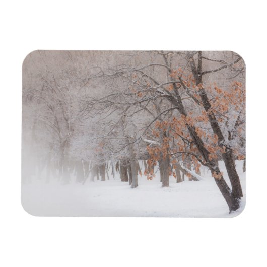 Wintersneeuw | Meer van Kussharo Magneet (Horizontaal)